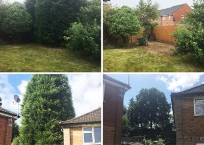 treelanders ratedpeople gallery 001