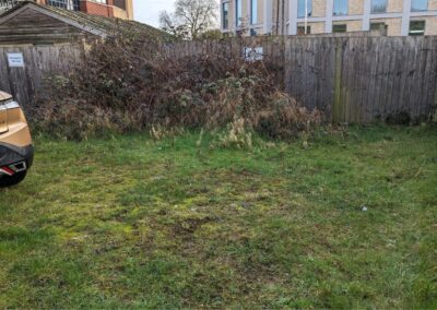 treelanders ratedpeople gallery 005