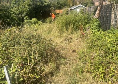 treelanders ratedpeople gallery 019