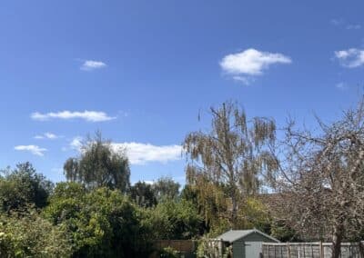 treelanders ratedpeople gallery 020