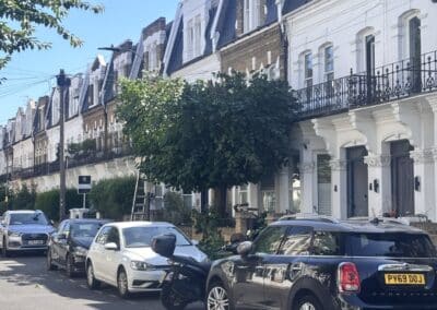 treelanders ratedpeople gallery 021