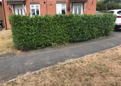 treelanders ratedpeople gallery 025