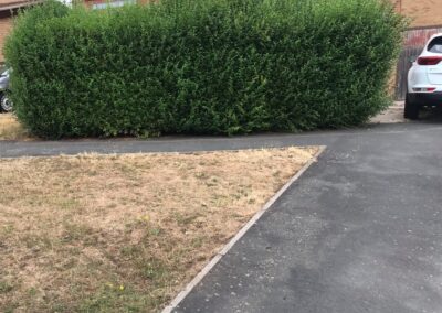 treelanders ratedpeople gallery 026