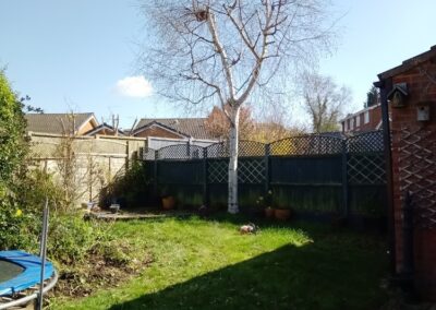 treelanders ratedpeople gallery 028