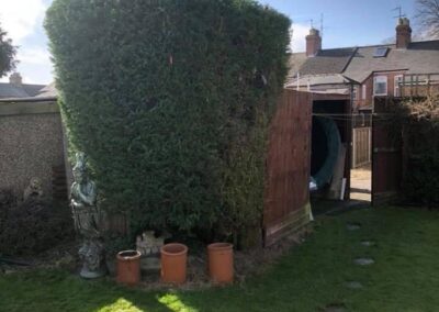 treelanders ratedpeople gallery 030