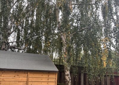 treelanders ratedpeople gallery 032