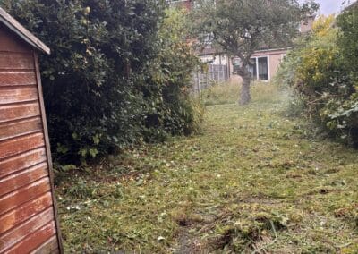 treelanders ratedpeople gallery 033