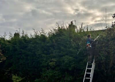 treelanders ratedpeople gallery 037