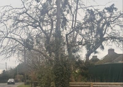 treelanders ratedpeople gallery 040