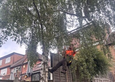 treelanders ratedpeople gallery 046