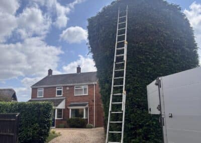 treelanders ratedpeople gallery 049