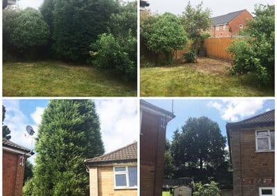 treelanders ratedpeople gallery 052